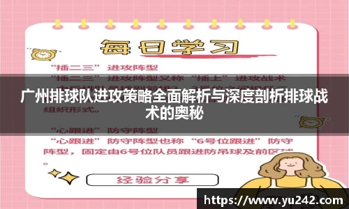 广州排球队进攻策略全面解析与深度剖析排球战术的奥秘