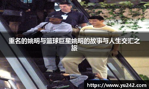 金年会体育