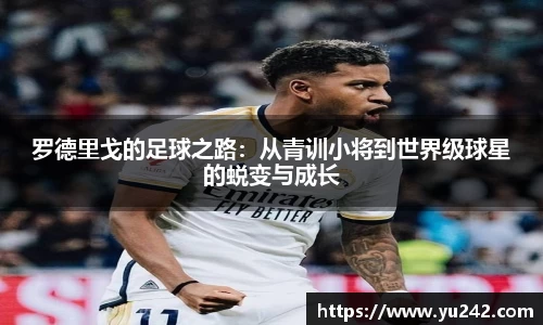 jinnian金年会