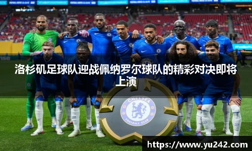 金年会金字招牌诚信至上